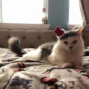 Meet your Posher, Eella